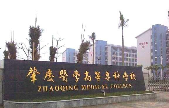广东大专院校录取分数线2023年，广东大专院校排行榜2022
