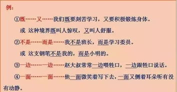 说明方法造句，打比方的说明方法造句
