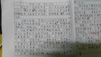 我爱我班作文500字
