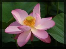 古莲花池，古莲河露天煤矿
