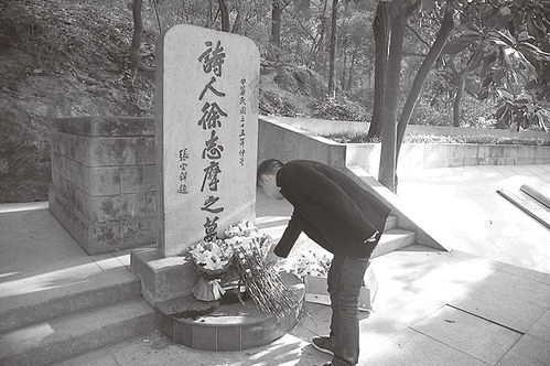 恺撒·加图索的角色设定