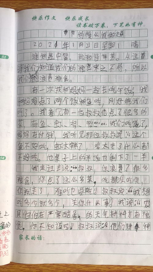 节约粮食的作文600字左右，节约粮食的作文开头