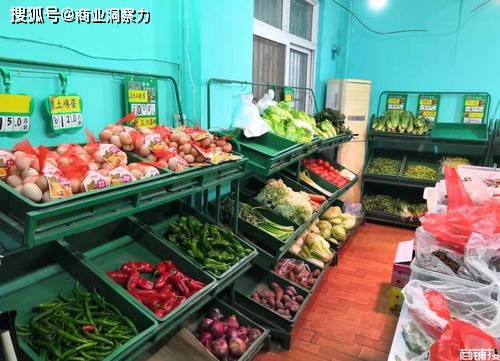 小伙的蔬菜店 电视剧免费观看，小伙的蔬菜店百度网盘