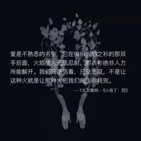 别离是什么意思?
