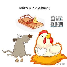 唇亡齿寒的故事主要内容，唇亡齿寒的故事和道理