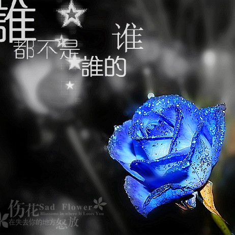 恋恋不舍的近义词是啥