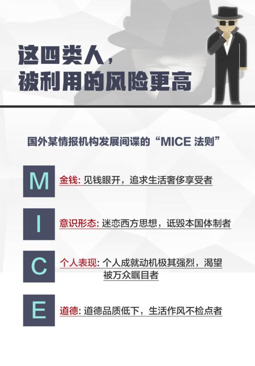 个人与国家的关系作文，个人与国家的关系作文题目
