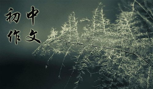 平凡中的发现作文600字(5篇)