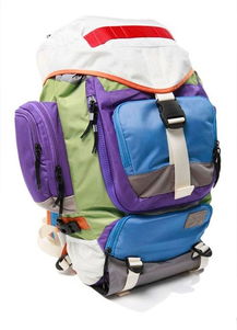 backpacking，backpack的中文翻译