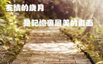 关于友情的唯美句子