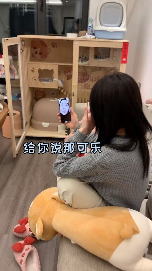 岳母是什么意思?