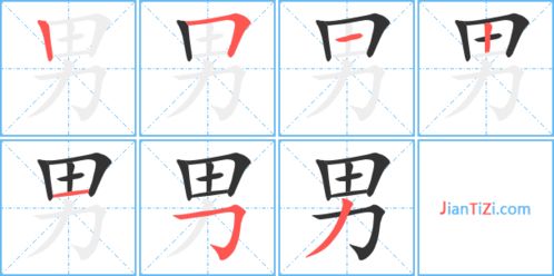 男的笔画顺序正确写法图，男的笔画怎么写
