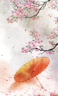 南吕一枝花是词牌名吗，南吕一枝花湖上归