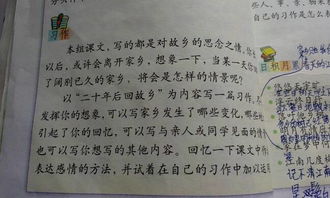 有你真好作文五百字