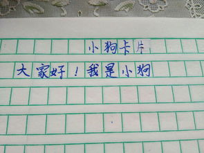 我喜欢小狗的作文300字，三年级写小狗的作文300字