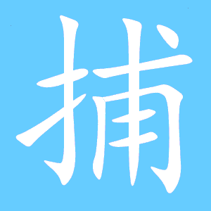 扑的笔顺和组词