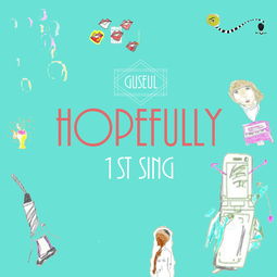 hopefully是什么意思，hopefully怎么读