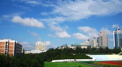 大连民族学院查录取时输入的用户名和密码是什么啊??请详细说明一下