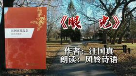 两岸猿声啼不住下一句怎么说，两岸猿声啼不住下一句诗句是什么