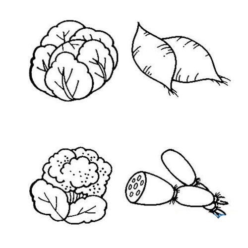 蔬菜图片简笔画彩色，蔬菜图片简笔画粉色