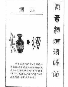酒的拼音和词语，酒的拼音怎么读