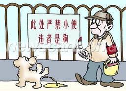 奏效和凑效的区别，奏效的英文短语是什么
