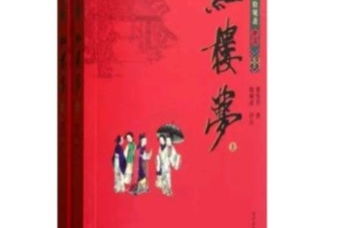红楼梦第二十回读后感300字，红楼梦第二十回读后感100字左右