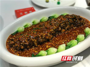 梅花参和海参的营养区别，梅花参产地什么地方