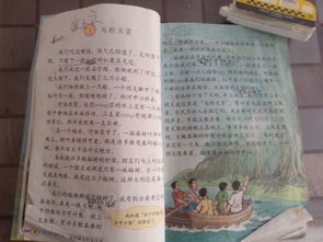 《鸟的天堂》课文原文