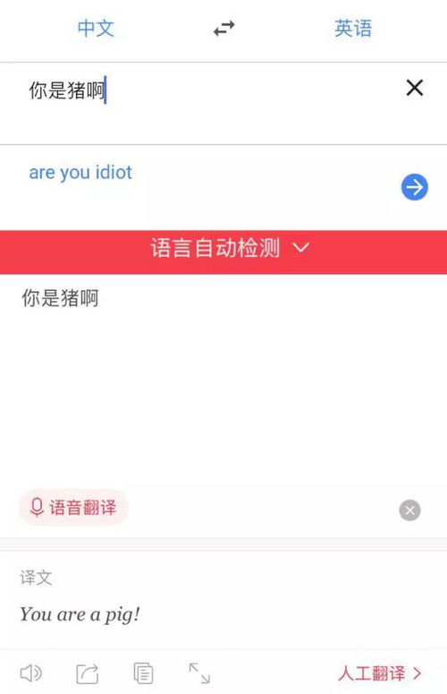 give翻译，get on翻译