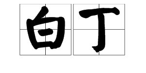 鸿儒和白丁是什么意思，出入皆鸿儒,往来无白丁是什么意思