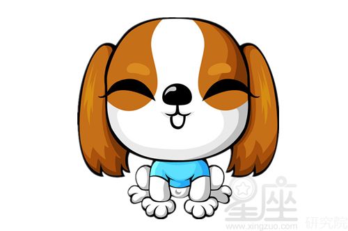 属狗的年龄表