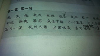 有关阳的词语有哪些?