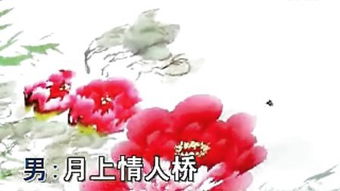 云上的玫瑰为什么不能看大结局