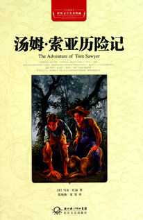 汤姆索亚历险记读后感