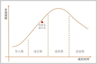 生命周期消费理论和永久收入理论的相同点包括，生命周期消费理论公式