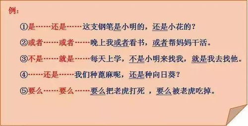 怎么用不是什么是什么造句