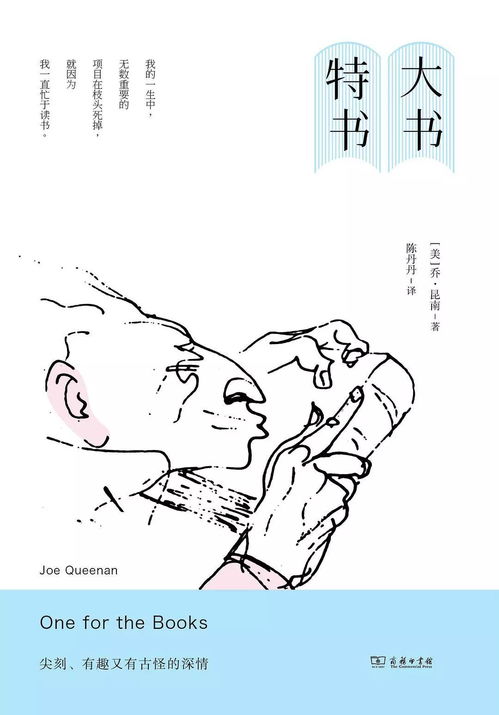 大书特书的书什么意思，大书特书造句