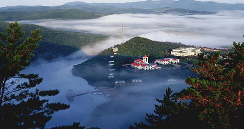 鸡东天气预报天气30天，鸡东天气预报天气下载