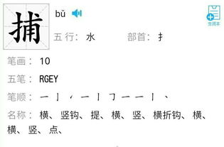 掉的笔顺，指的笔顺