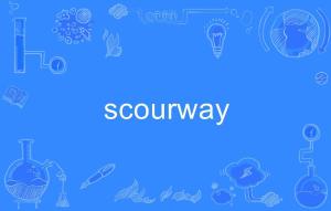 scouring，scourge 变形金刚