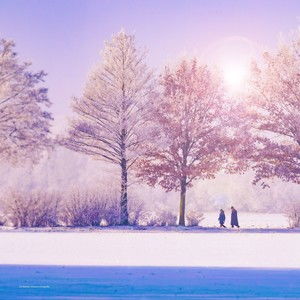 snowflakes是什么意思
