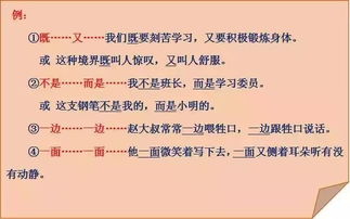 不是什么是什么造句一年级，怎么也造句