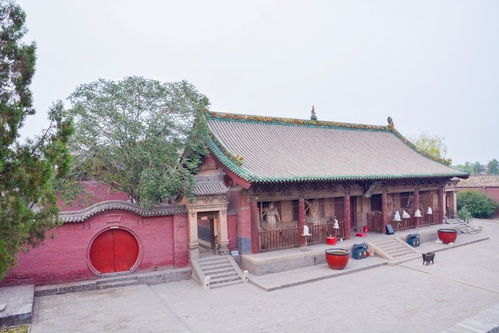 双林寺简介，双林寺维修