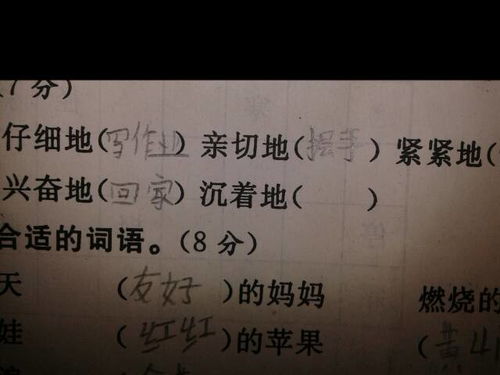 玷污的玷是什么意思:玷污的玷还可以组什么词