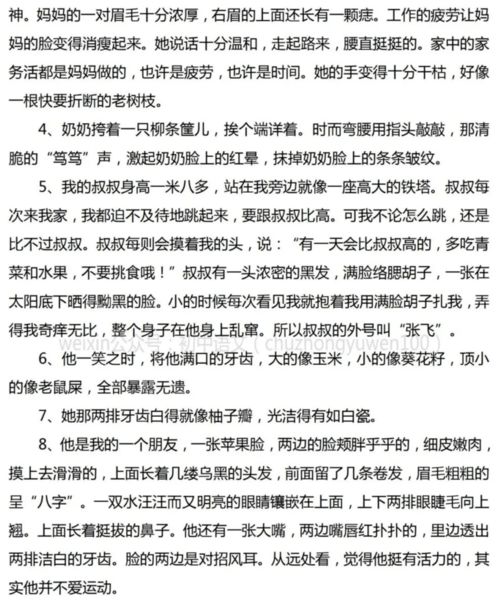 作文素材人物事例摘抄，高考语文作文素材人物事例