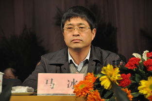 马冰洁，马冰雁
