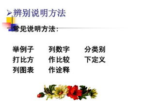 作诠释是什么意思举例，作诠释是什么意思视频