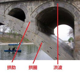 拱肋的介绍