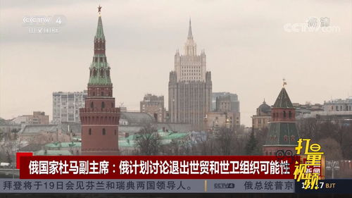 国家杜丽，国家杜马是什么意思